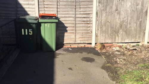 Eco-friendly waste disposal solutions in Purley